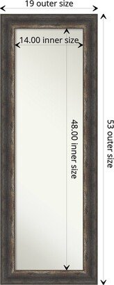 Non-Beveled Full Length On The Door Mirror - Bark Rustic Frame