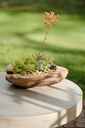 Teak Root Round Bowl Planter, 18