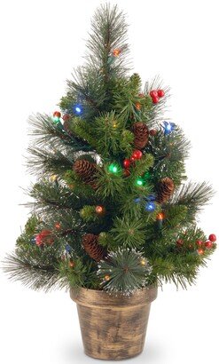 National Tree Company Pre-Lit Artificial Mini Christmas Tree