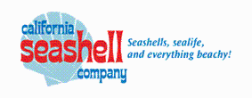 California Seashell Promo Codes & Coupons
