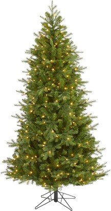 7ft. Vienna Fir Artificial Christmas Tree with 450 Warm White Lights and 843 Bendable Branches