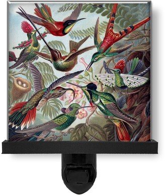 Hummingbirds Art Poster Animal Nature Glass Photo Night Light, Decorative Lights