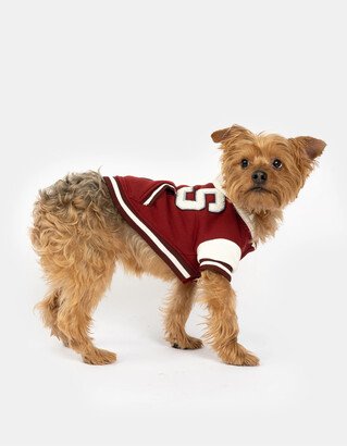 SILVER PAW Otis Dog Letterman Jacket