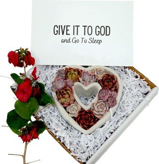 Diy-Gift | Give It To God & Go Sleep Heart Shaped Assorted Succulents Gift Box Inspirational Spiritual Bible Quotes Verse Self-Love Gifts