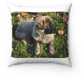 Puppy Sarplaninac Pillow - Throw Custom Cover Gift Idea Room Decor