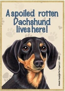 Spoiled Rotten Dachshund Lives Here Blk Tan Wood Dog Magnet Fridge Kitchen Locker Any Metal Surface Made in USA 2.5