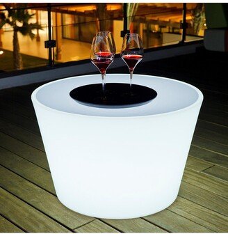 Bass Bluetooth Indoor/Outdoor Led Table