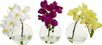 9'' Phalaenopsis Orchid Artificial Arrangement in Glass Vase, Set of 3