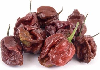 Nc Heirloom Hot Pepper Seeds - Trinidad Scorpion Chocolate Non Gmo Open Pollinated Vegetable Gardening Grow Your Own Food