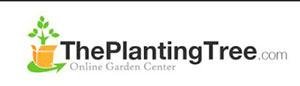 Planting Tree Promo Codes & Coupons
