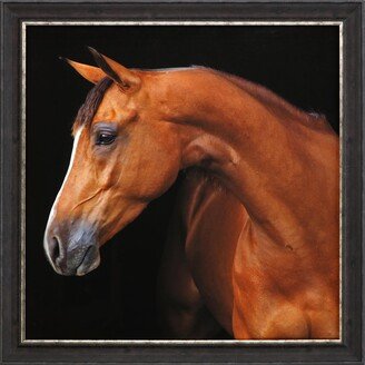 Paragon Picture Gallery Jack The Horse Framed Art