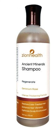 Zion Health Regenerate Hair Shampoo, 16 oz