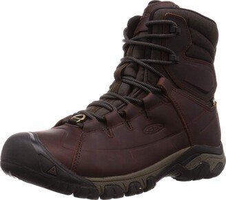 mens Targhee Lace High Polar Waterproof Insulated Snow Boots