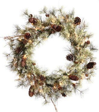 30 Dakota Artificial Christmas Wreath, Warm White Dura-lit LED Mini Lights