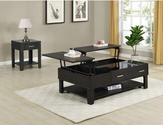 Lilola Home Bruno 2 Piece Ash Gray Lift Top Coffee & End Table Set w/ Glass Top