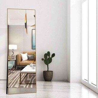 NO 63 x 16 Inch Full Length Mirror with LED Lights, Free Standing Floor Mirror, Wall Mounted Mirror - Small