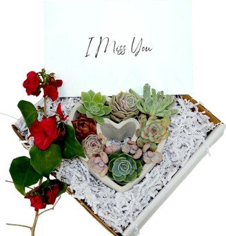 Diy-Gift | I Miss You Heart Shaped Assorted Succulents Gift Box Inspirational Spiritual Bible Quotes Verse Self-Love Gifts Wedding Baby