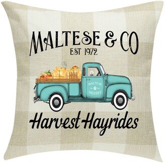 Maltese & Co. Harvest Hayrides Pillow Cover Buffalo Plaid 18 X ~ Only