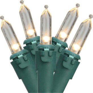 Northlight Set of 50 Warm White Led Mini Christmas Lights 4 Spacing - Green Wire