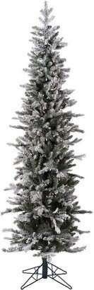 7' Frosted Glitter Tannenbaum Pine Artificial Christmas Tree, Pure White LED Lights In a 21Lx21Wx7H base.