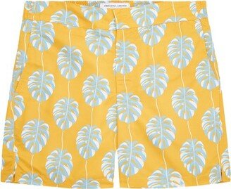 Classic swim shorts botânico leaf print