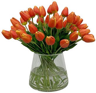 Orange Tulip in Vase