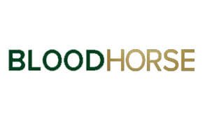 Blood Horse Interactive Promo Codes & Coupons