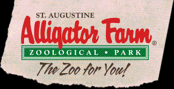 Alligator Farm Promo Codes & Coupons