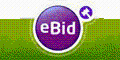 eBid Promo Codes & Coupons