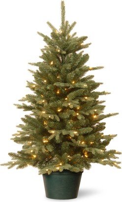 National Tree Company 3' Everyday Collections Small Tree in Green Pot with 100 Clear Lights