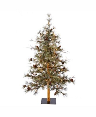 6 ftX 36 inch Dakota Alpine Artificial Christmas Tree