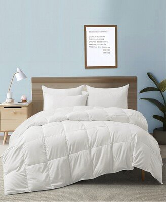 All Season 360 Thread Count Extra Soft Goose Down and Feather Fiber Comforter, California King