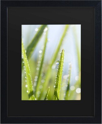 Beata Czyzowska Young Morning Melody Matted Framed Art - 15 x 20