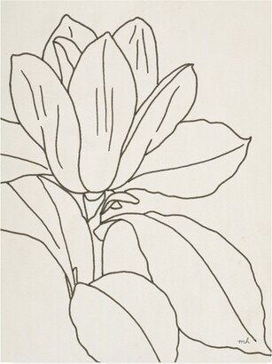 Moira Hershey Magnolia Line Drawing V2 Crop Canvas Art - 36.5 x 48