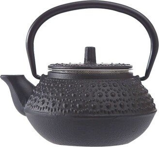 Oriarm Cast Iron Mini Pot Stovetop Safe, Japanese Tea Kettle With Infuser Nanbu Tetsubin Black