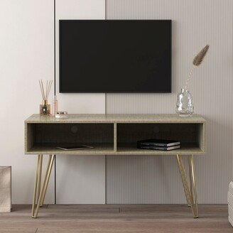 EDWINRAY 42 Modern Simple TV Stand with 2 Cabinet & Golden Metal Legs,Grey