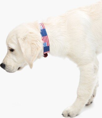 American Flag Needlepoint Dog Collar