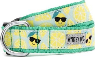 The Worthy Dog Lemons Adjustable Dog Collar - Mint Green - XS