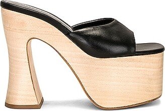 Platform Sandal in Black-AB