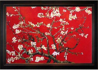 By Overstockart Branches of An Almond Tree In Blossom, Ruby Red with Veine D'Or Angled Frame, 29 x 41