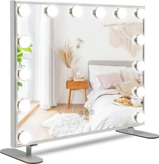 2-in-1 Vanity Mirror with 14 Dimmable LED Bulbs - Silver