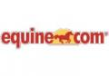 Equine.com Promo Codes & Coupons