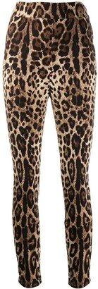 Leopard Print Cropped Trousers-AA