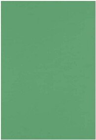 100 lb. Cardstock Paper 13 x 19 Holiday Green 250 Sheets/Pack (1319-C-L17-250)