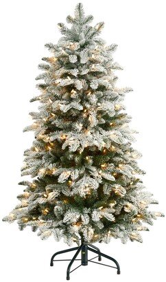 Flocked North Carolina Fir Artificial Christmas Tree with 250 Warm Lights and 779 Bendable Branches, 4'