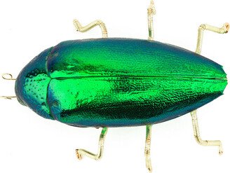 Oanasavu.creations Special Metallic Green Recycled Natural Beetle Brooch