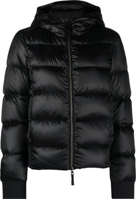 Feather-Down Padded Jacket-AA