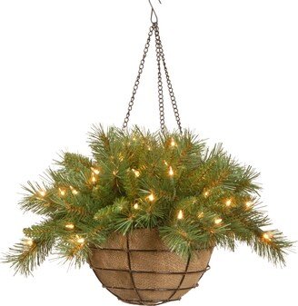 National Tree Company Pre-Lit Artificial Christmas Hanging Basket