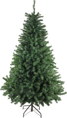 Northlight 6' Canadian Pine Artificial Christmas Tree - Unlit