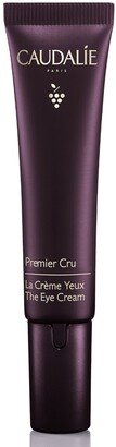 Premier Cru Dark Circle Correcting Eye Cream-AB